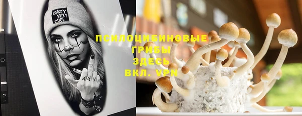 apvp Арсеньев