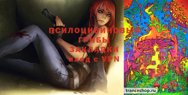 apvp Арсеньев