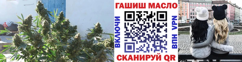 МЕГА ссылка  Бутурлиновка  ТГК концентрат 